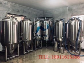 小型啤酒廠釀酒設(shè)備,德國精釀啤酒設(shè)備,2噸自釀啤酒設(shè)備價(jià)格